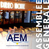 Assemblée générale AEM 2020